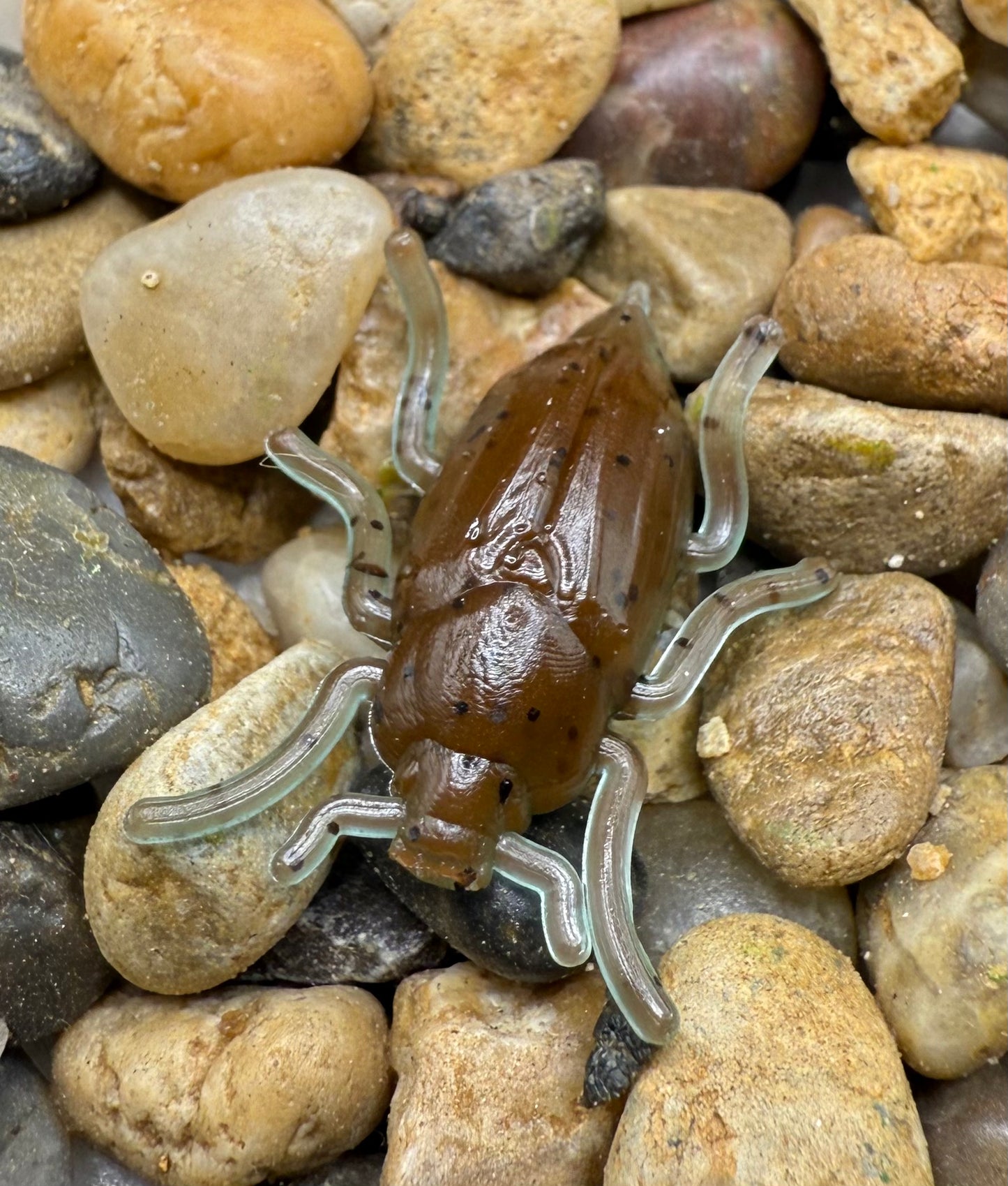 1” Beetle