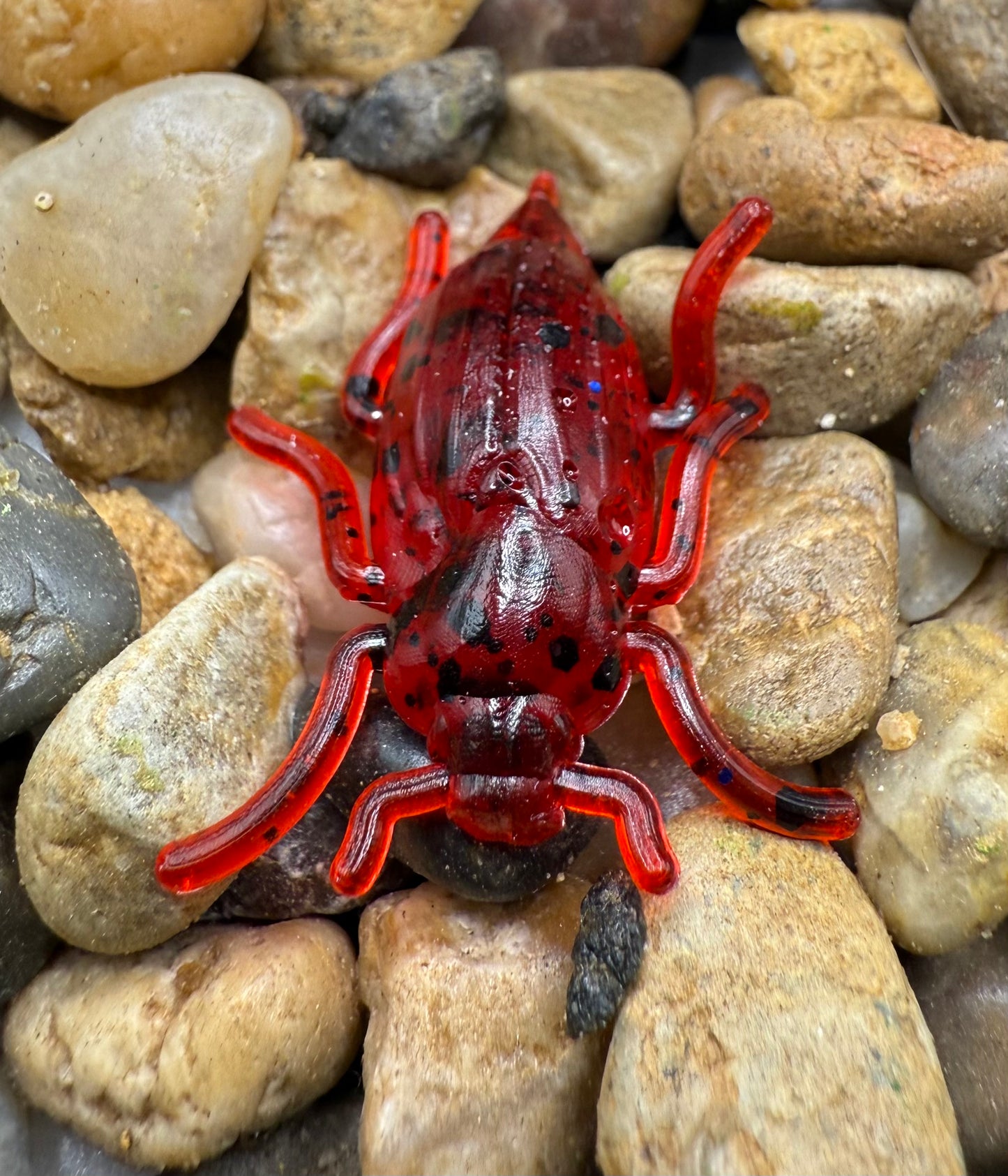 1” Beetle
