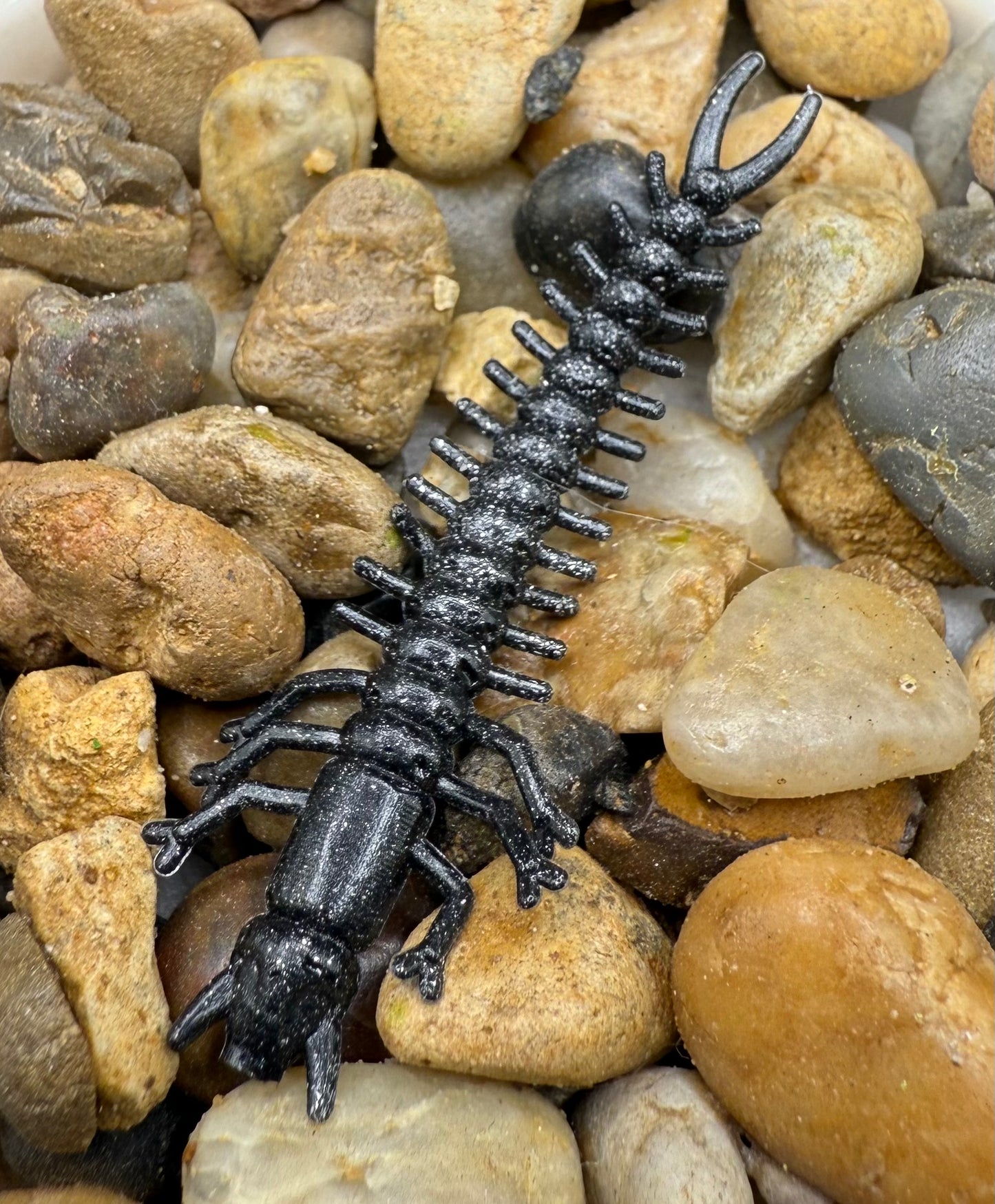 1.8” Hellgrammite